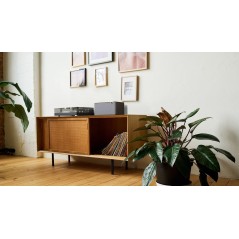Klipsch The Three PLUS Valnød - Trådløs 120W Lydoplevelse i Premium Kvalitet